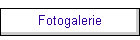 Fotogalerie