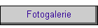 Fotogalerie